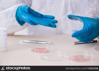 The young male chemist working in the lab. Young male chemist working in the lab