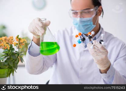 The young male chemist working in the lab. Young male chemist working in the lab