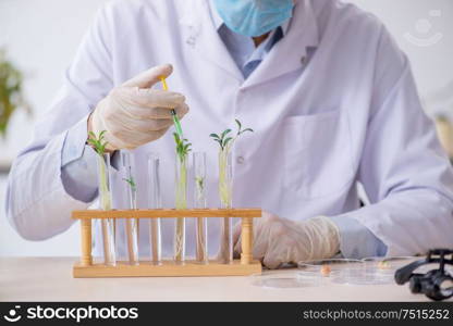 The young male chemist working in the lab. Young male chemist working in the lab