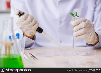 The young male chemist working in the lab. Young male chemist working in the lab