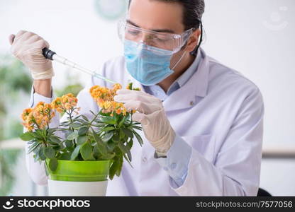 The young male chemist working in the lab. Young male chemist working in the lab