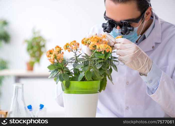 The young male chemist working in the lab. Young male chemist working in the lab