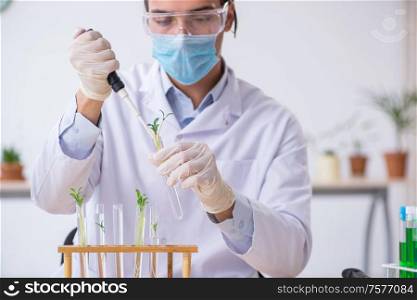 The young male chemist working in the lab. Young male chemist working in the lab