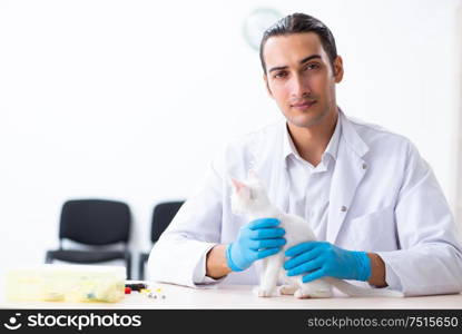 The young male doctor examining sick cat. Young male doctor examining sick cat