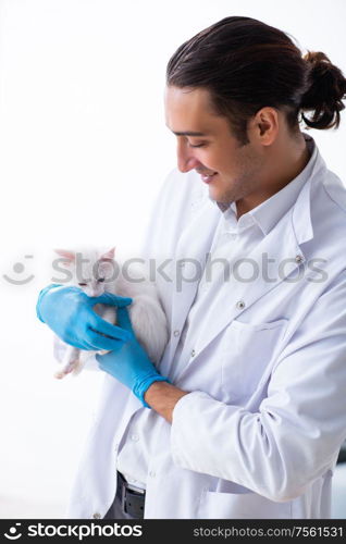 The young male doctor examining sick cat. Young male doctor examining sick cat