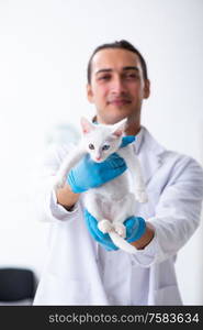 The young male doctor examining sick cat. Young male doctor examining sick cat