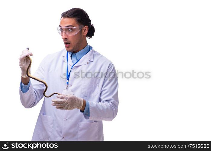 The young male zoologist with snake isolated on white. Young male zoologist with snake isolated on white
