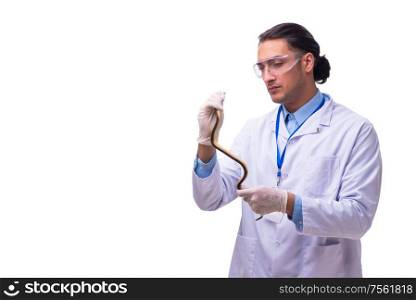 The young male zoologist with snake isolated on white. Young male zoologist with snake isolated on white