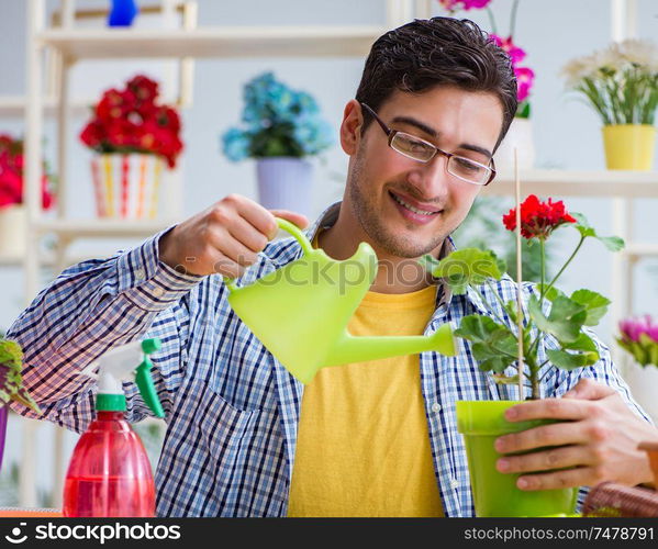 The young man florist working in a flower shop. Young man florist working in a flower shop