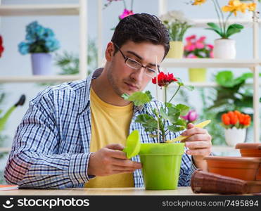The young man florist working in a flower shop. Young man florist working in a flower shop