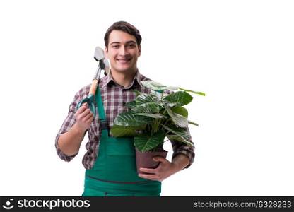The young man gardener isolated on white. Young man gardener isolated on white