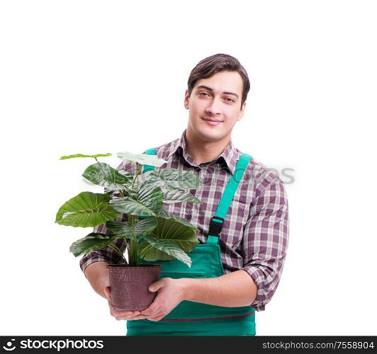 The young man gardener isolated on white. Young man gardener isolated on white