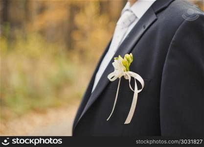 The young man with ornaments in a breast pocket.. Buttonhole in a pocket of the groom