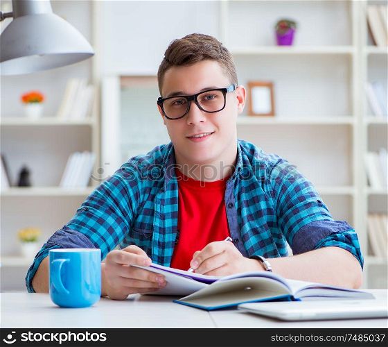 The young teenager preparing for exams studying at a desk indoors. Young teenager preparing for exams studying at a desk indoors