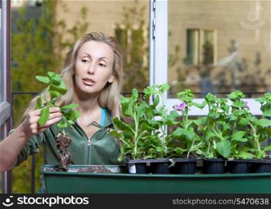 The young woman transplants seedling