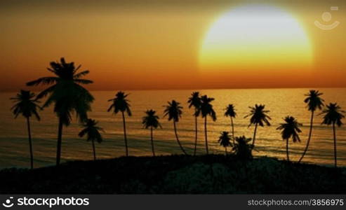 Themes of nature, vacation, travel, destinations, oceans, tropical, paradise, tourism, romance, adventure. Great giant red sun setting through gently swaying palms and sparkling ocean.
