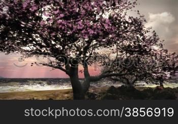 Themes of nature, wilderness, seasons, weather, travel, adventure, exploration, spring, agriculture, future. Clearing spring storm with blooming cherry trees and time lapse clouds