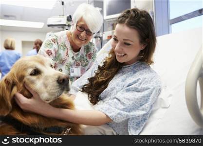 Therapy Dog Visiting Young Female Patient In Hospital
