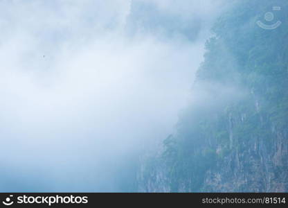 thick fog covers mountain forests in Thailand
