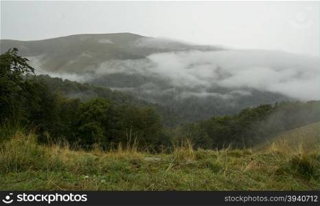Thick white mist in the mountains