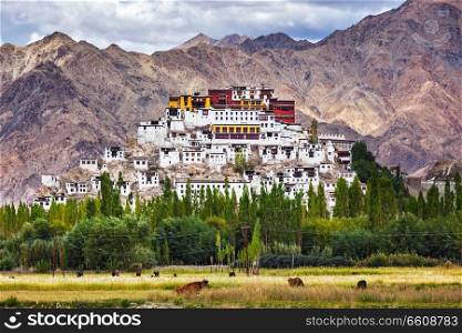 Thikse Gompa or Thikse Monastery  also transliterated from Ladakhi as Tikse, Tiksey or Thiksey  - Tibetan Buddhist monastery of the Yellow Hat  Gelugpa  sect. Ladakh, Jammu and Kashmir, India. Thiksey gompa, Ladakh, India
