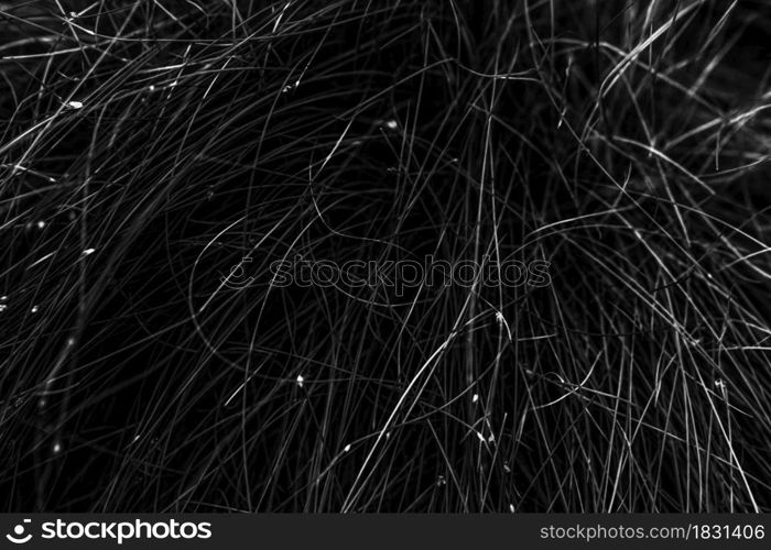 thin metal wire, black and white background image