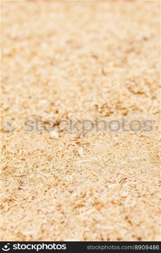 Thin Wood sawdust texture material background closeup. wood shavings background