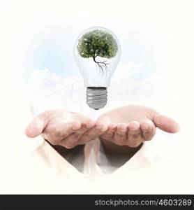 Think green. Light bulb with tree inside. Ecology concept