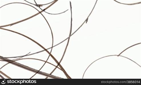 This dynamic plant texture has a variety of brown grasses and branches which can be composited over your footage or over transitions to add interest and energy to your video. Please see my large collection of film textures and effects for more clips like