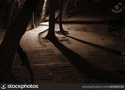 This is a road in a small park, very unsafe at night.