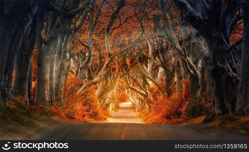 this is awesome view of autumn forest road and attractive background
