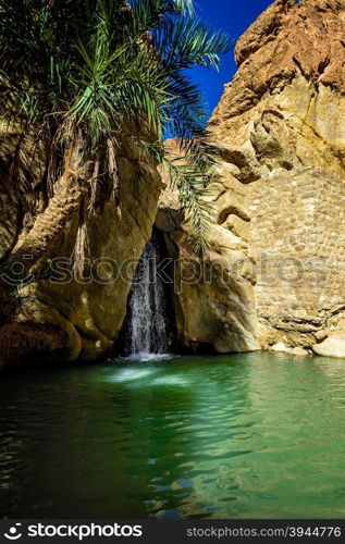 this is chebika&rsquo;s oasi situated near Sahara desert a beautiful waterfall with green water.