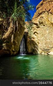 this is chebika&rsquo;s oasi situated near Sahara desert a beautiful waterfall with green water.