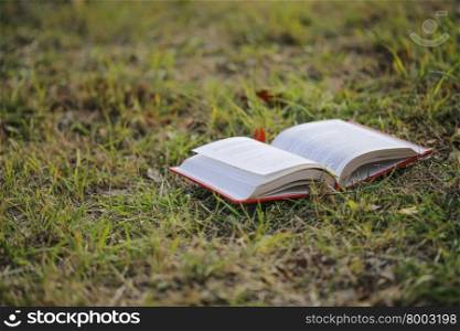 This is open book with summer background on the grass.