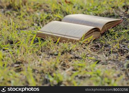 This is open book with summer background on the grass.