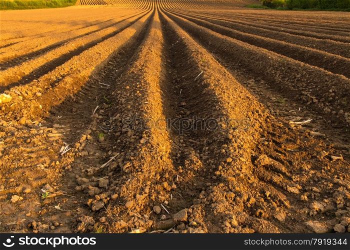 This ploughed field is on the south side of Ilminster, Somerset, England, United Kingdom