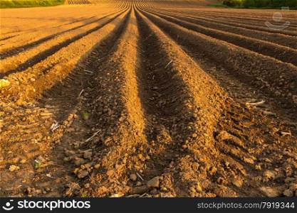 This ploughed field is on the south side of Ilminster, Somerset, England, United Kingdom
