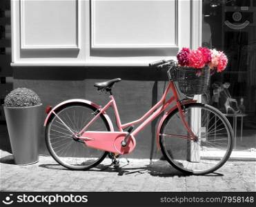 This vintage pink girls bicycle has beautiful pink flowers in a basket on the front of the bike