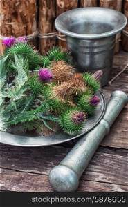 Thistle . Bright prickly Thistle buds collected for medicinal purposes in the iron bowl with mortar and pestle.Photo tinted.