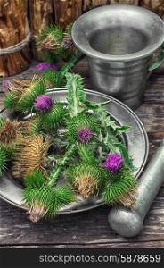 Thistle . Bright prickly Thistle buds collected for medicinal purposes in the iron bowl with mortar and pestle.Photo tinted.