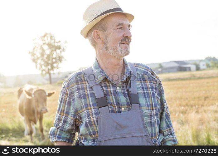 Thoughtful senior farmer standing against cow on field at farm