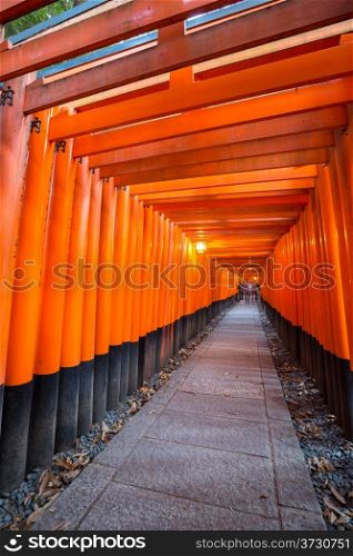 Thousands of vermilion torii gates at Fushimi Inari Taisha Shrine in Kyoto, Japan
