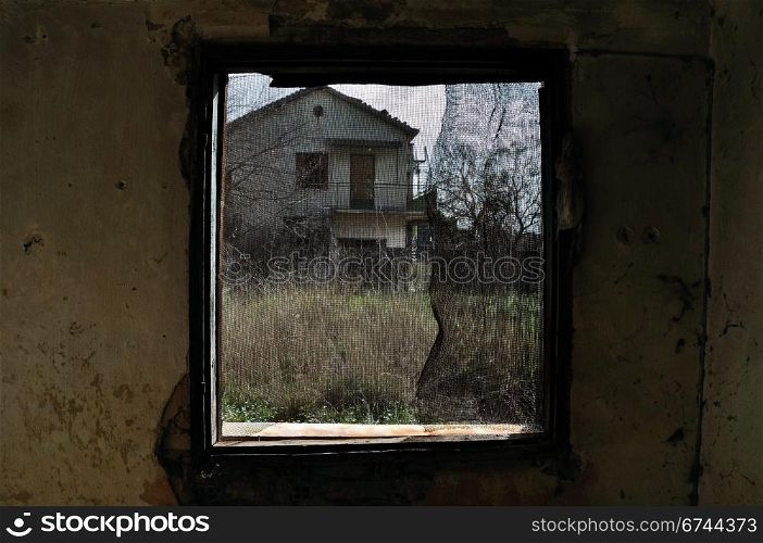 Threaded window with view to overgrown gardens of a deserted neighbourhood.