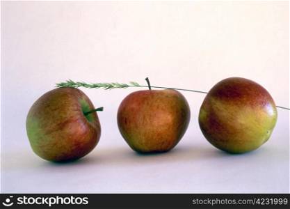 Three apples isolated on painted background