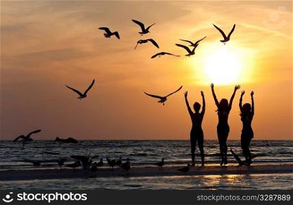 Three beautiful young women in bikinis dancing on a beach at sunset surrounded by sea gull birds all in silhouette