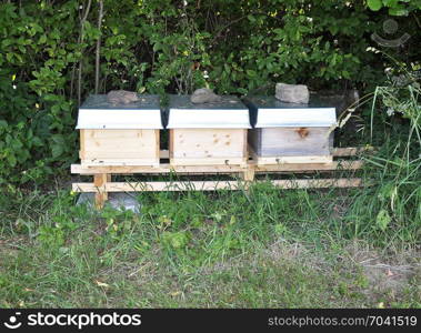 Three beehives at the edge of the forest