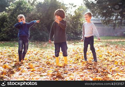 Three boys playing outdoors, in autumn leaves