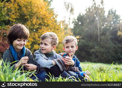 Three boys, sitting together in field, in autumn