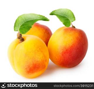 Three bright fragrant apricot with leaves on a white background. Three bright fragrant apricot with leaves