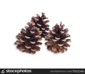 three brown dry pine cones isolated on white background